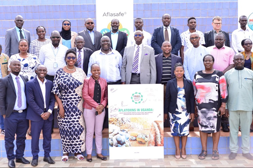 FoSCU Aflatoxins Report – launch event group